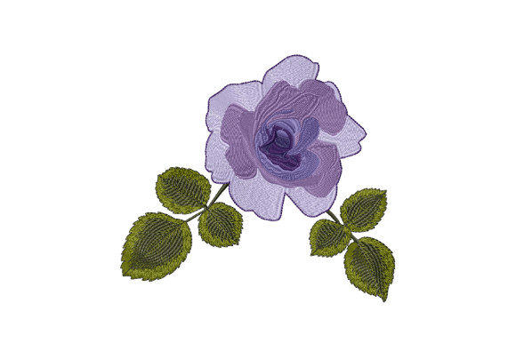 Dark Purple Rose: A Designer’s Holiday Review